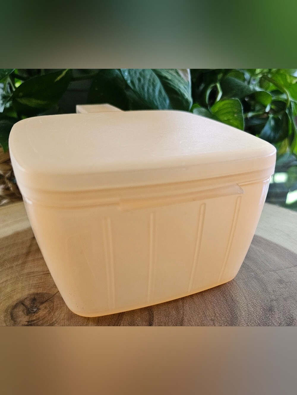 VTG Tupperware Cheese FORGET-ME-NOT Shelf Hanger Refrigerator Container #5338